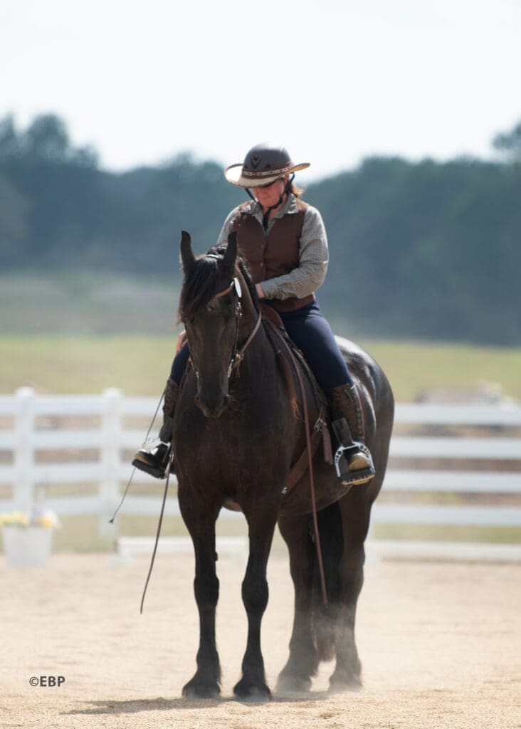 Woman riding black horse who is standing